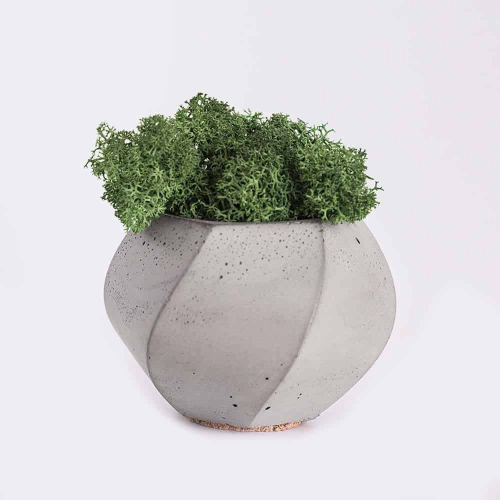 Home Plant4 Free Img 1